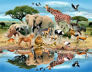 محبوب ترین حیوانات در نقاط مختلف جهان کدامند؟